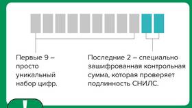 Что означают цифры в СНИЛС в Аптека 36,6