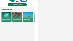 Как проверить баланс карты Мир Pay в Аптека 36,6