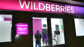 Как проверить кошелек на Wildberries в Аптека 36,6