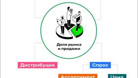 Как рассчитать доли участников в ООО в Аптека 36,6