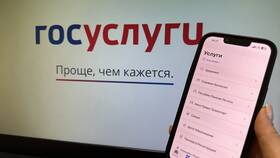 Как разблокировать учетную запись Госуслуг после блокировки на 72 часа