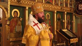 Почему епископа Софрония отправили на покой
