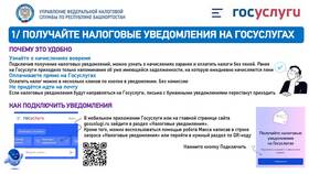 Почему не приходят уведомления с Госуслуг в Аптека 36,6