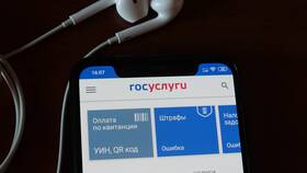 Почему невозможно войти в Госуслуги: основные причины и решения в Аптека 36,6