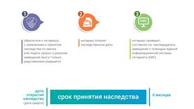 Подали на наследство: что делать дальше в Аптека 36,6
