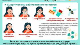Разбилась тарелка в субботу: народные приметы и их значение в Аптека 36,6