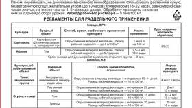 Регент от колорадского жука: инструкция по разведению в Аптека 36,6