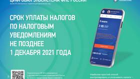 За что списывают налоги в Аптека 36,6