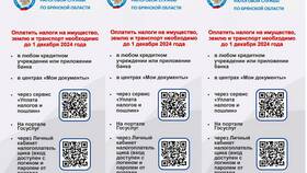 Зачем оплачивать налоги в Аптека 36,6