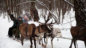 Значение приставки 