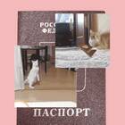 Утеря паспорта: что делать в первую очередь